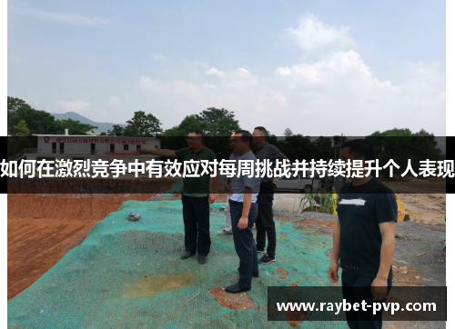 如何在激烈竞争中有效应对每周挑战并持续提升个人表现