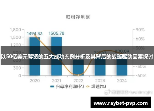 以50亿美元筹资的五大成功案例分析及其背后的战略驱动因素探讨