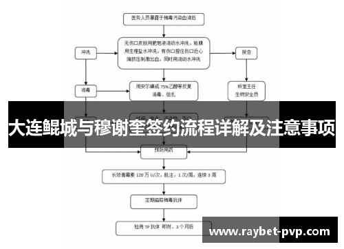 大连鲲城与穆谢奎签约流程详解及注意事项