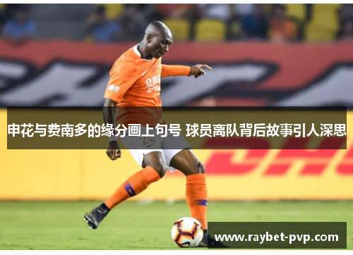 申花与费南多的缘分画上句号 球员离队背后故事引人深思
