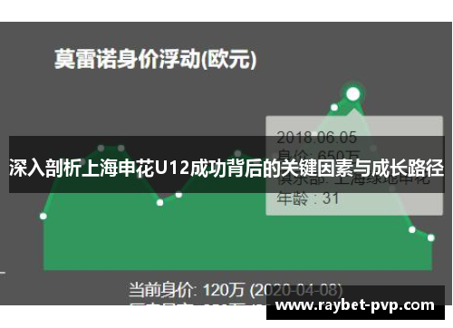 深入剖析上海申花U12成功背后的关键因素与成长路径